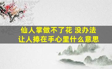 仙人掌做不了花 没办法让人捧在手心里什么意思